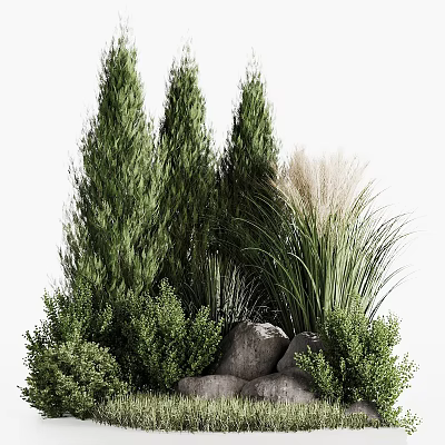 Lush Garden Decorative Feature With Tall Evergreen Trees Ornamental Grasses And Natural Stones 3d model