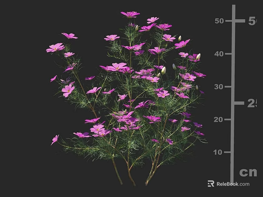 Tall Bunch of Purple Flowers With Green Leaves and Stems on Dark Background 3d model 