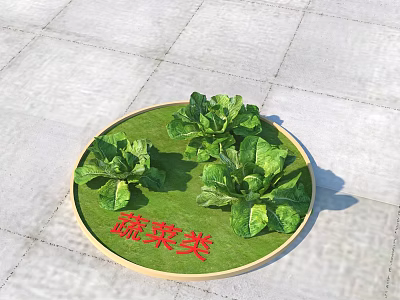 Organic Fresh Vegetables On Round Green Mat With Fresh Lettuce Greens 3d model