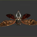 Flying Cicada Insect With Red Brown Patterned Wings And Black White Body Against Dark Background
