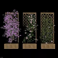 Decorative Garden Trellis With Climbing Vines And Colorful Flowers On Wooden Base
