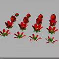 Vibrant Red Flowers With Green Leaves Arranged On Gray Background For Natural