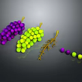 Fresh Purple And Green Grapes With Branches And Scattered Berries