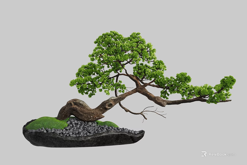 Natural Bonsai Decorative Ornament Set With Curved Trunk Green Leaves And Moss Covered Stones 3d model 