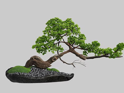 Natural Bonsai Decorative Ornament Set With Curved Trunk Green Leaves And Moss Covered Stones 3d model