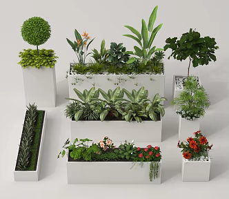 Plant combination flower box pendulum green plant flower box plant pile 3d model