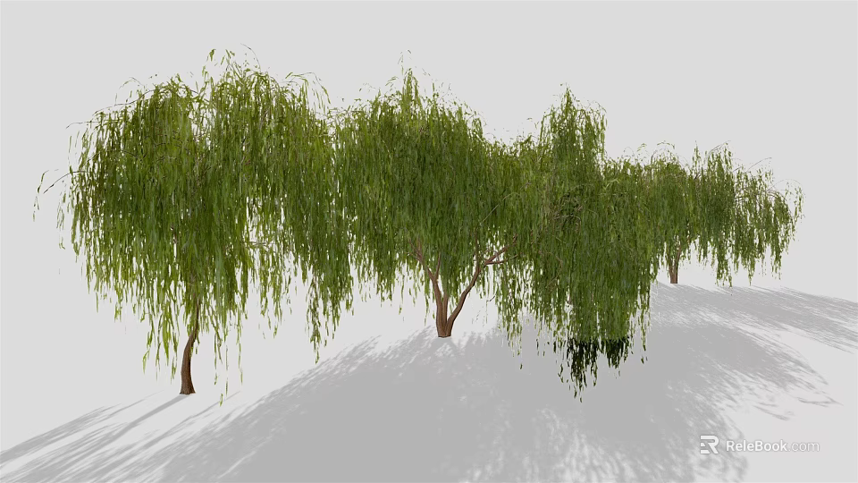 Weeping Willow Trees with Green Hanging Branches and Brown Trunks on Light Ground with Shadows 3d model 