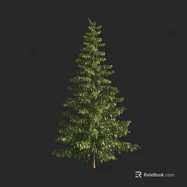Tall Green Arbor With Lush Foliage And Straight Trunk Isolated On Black 3d model 