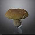Fresh Edible Mushroom With Smooth Orange Brown Cap And Firm White Stem