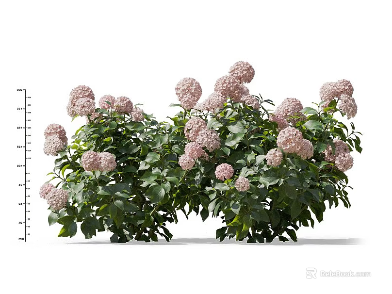 Lush Flowering Shrubs With Pink Blooms And Vibrant Green Foliage For Garden Landscaping 3d model 