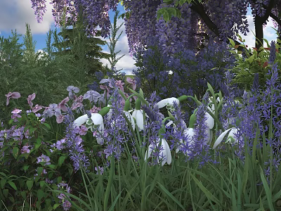 Blooming Purple Wisteria and White Snowdrops in Garden with Green Grass and Shrubs 3d model