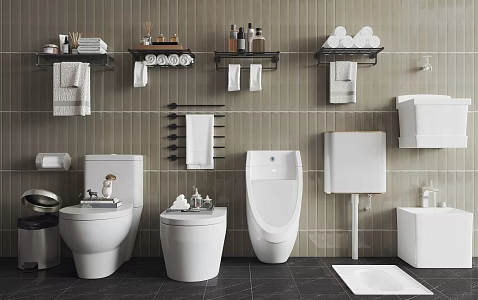 Modern toilet urinal squatting pan mop pool 3d model