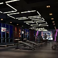 Modern Fitness Gym Interior With Hexagon Pink Lighting And Workout Equipment