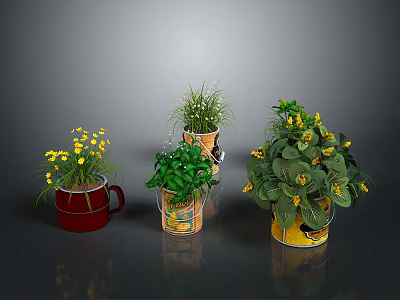 Indoor Decorative Plants with Yellow Flowers Green Foliage in Red Cup Transparent Bucket and Yellow Pot 3d model