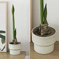 Modern ornaments combination wall shelf ornaments 3d model