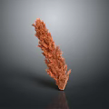 Orange Red Feathery Decorative Plant On Black Smooth Surface With Gray Background