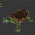 Turtle Cartoon Turtle Snapping Turtle Chickbill Turtle Reptile Cold Blooded Animal Reptile Class 3d model