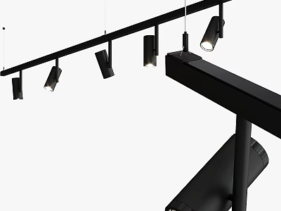 Modern Black Track Mounted Downlights and Spotlights with Sleek Design for Indoor Lighting 3d model