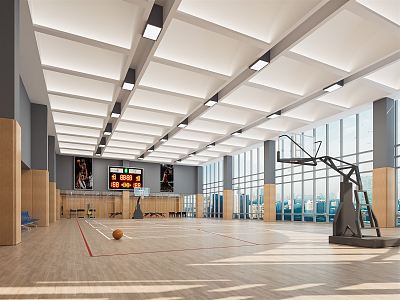 Modern Basketball Gymnasium Sports Stadium Basketball Rack Basketball Game Stadium 3d model