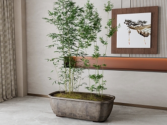 bamboo green plant potted plant 3d model