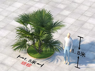Palm Arbor With 1.8 Meters Height And 1.5 Meters Base Diameter On Square Tile Ground 3d model