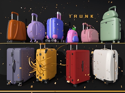 Luggage luggage case backpack suitcase model