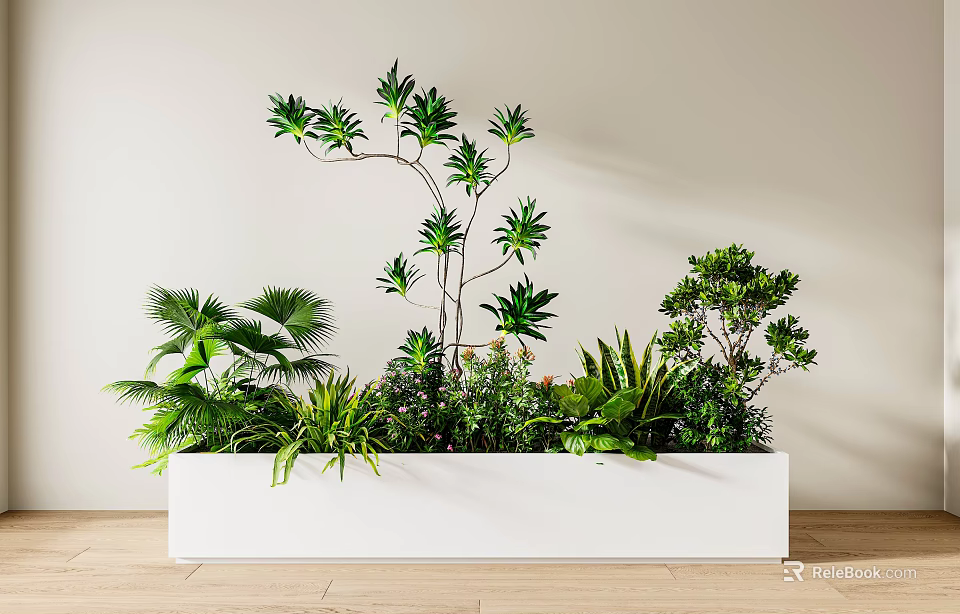 Indoor Potted Plants in White Rectangular Planter with Various Green Foliage and Different Leaf Shapes 3d model 