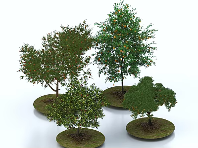 Various Form Arbor Trees With Circular Lawn Bases Lush Foliage And Orange Fruits 3d model