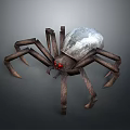 Realistic 3D Model Spider With White Back Brown Legs And Red Eyes On Gray Background