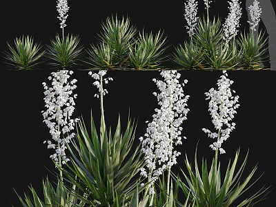 Decorative Plant Ornament Combination With White Flowers And Green Leaves For Home Decor 3d model