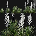 Decorative Plant Ornament Combination With White Flowers And Green Leaves For Home Decor