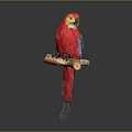 Vibrant Red Parrot with Colorful Feathers Perched on Wooden Branch Against Gray Background
