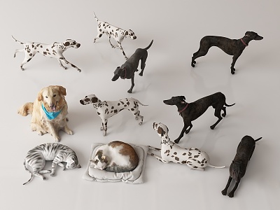 Modern Dog Animal model