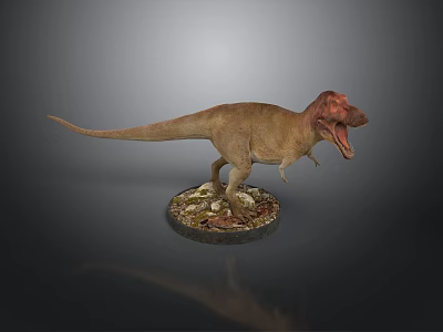 Detailed Tyrannosaurus Rex Dinosaur Model Standing With Open Mouth On Base 3d model
