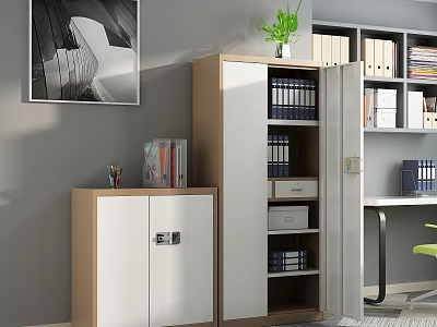 Modern White and Wooden Bookcase With Doors Folders Books in Home Office With Potted Plant 3d model