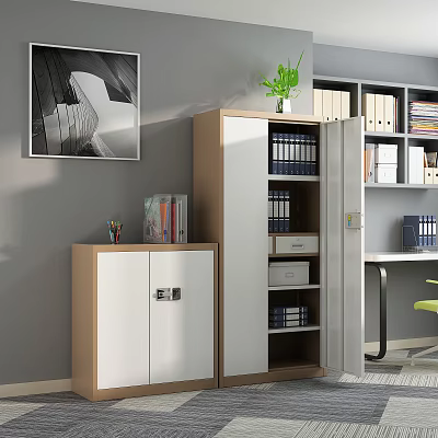 Modern White and Wooden Bookcase With Doors Folders Books in Home Office With Potted Plant 3d model