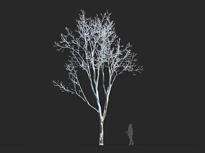 Leafless Arbor with Human Silhouette for Size Comparison on Black Background 3d model