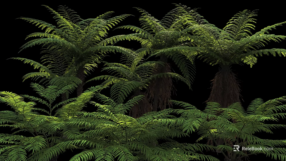 Lush Green Fern Shrubs With Vibrant Fronds In Natural Setting 3d model 