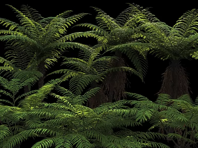 Lush Green Fern Shrubs With Vibrant Fronds In Natural Setting 3d model