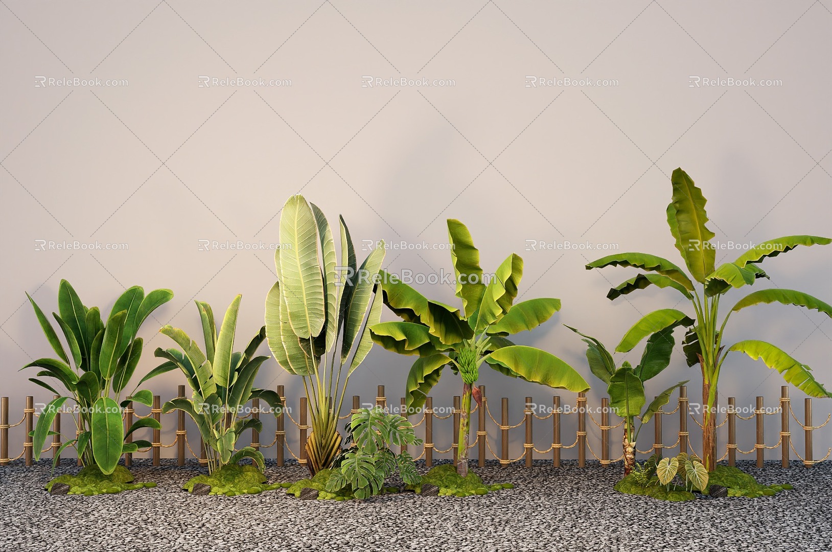 Modern tropical plant plantain traveler plantain plant pile 3d model