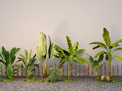 Modern tropical plantain traveler plantain plant pile 3d model