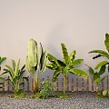 Modern tropical plant plantain traveler plantain plant pile 3d model