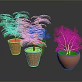 Plants in Terracotta Pots Various Types Including Bare Branches Green Grass-like on Dark Background