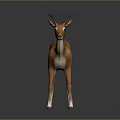 Brown Antelope with Long Curved Horns Standing on Gray Background with Reflection