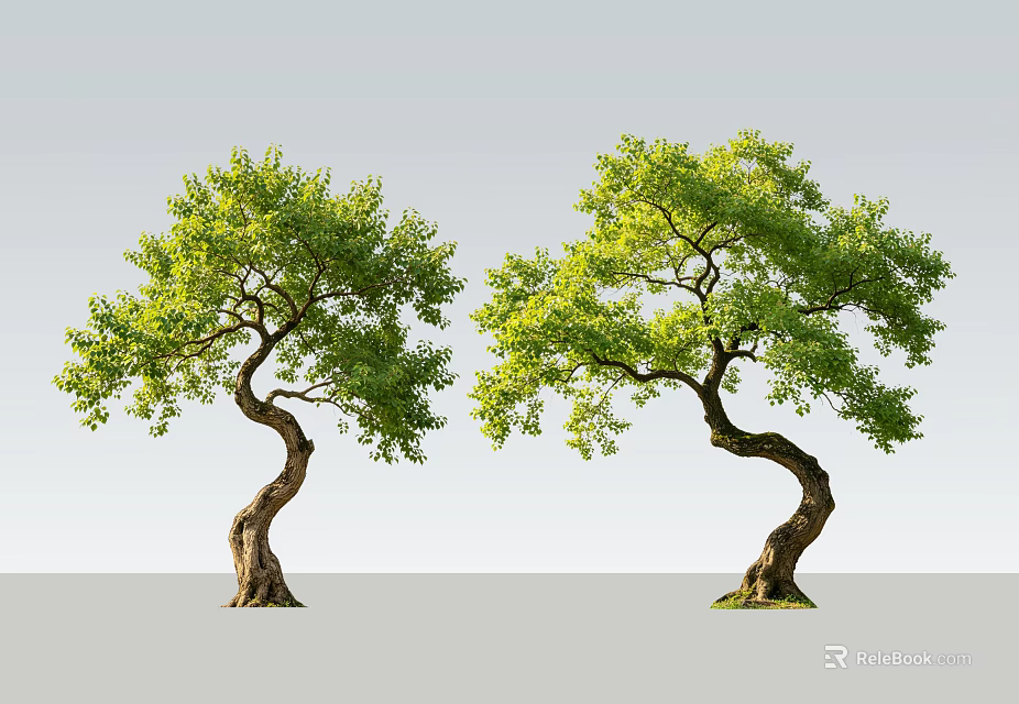 Two Twisted Arbors With Lush Green Foliage Against Gray Background 3d model 
