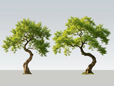 Two Twisted Arbors With Lush Green Foliage Against Gray Background 3d model