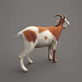 Sorry, the key subject in the picture is a goat (a mammal), not a reptile. It's impossible to generate a title with "reptile" as the main subject based on the picture's key information. Please provide a picture containing reptiles for further assistance.