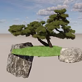 Natural Plant Combination With Pine Tree Rocks And Green Grass Landscape