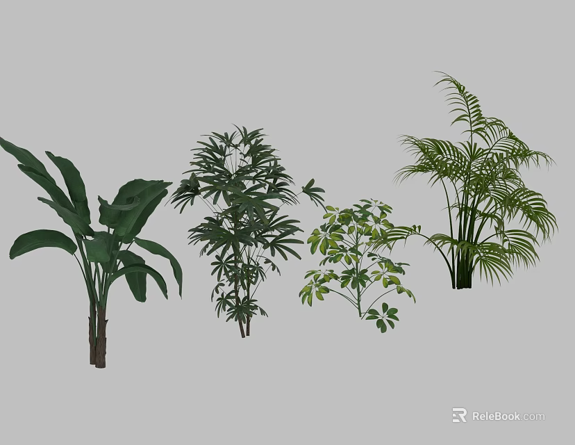Various Indoor Green Plants Including Banana Leaf Shrub Small Foliage And Fern 3d model 