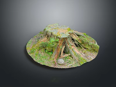Natural Wood Stone Tree Stump Decorative Piece With Moss And Natural Texture 3d model
